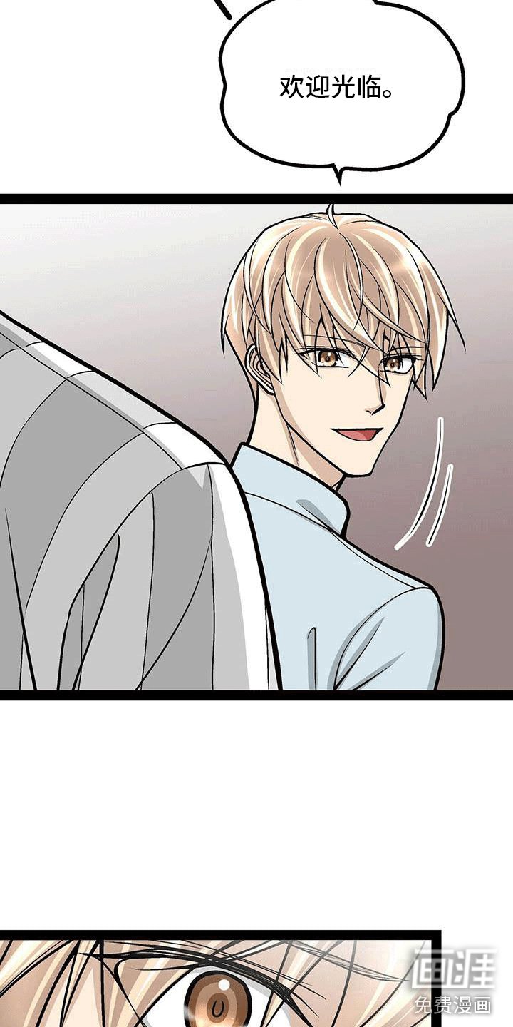 第17章：擅自决定