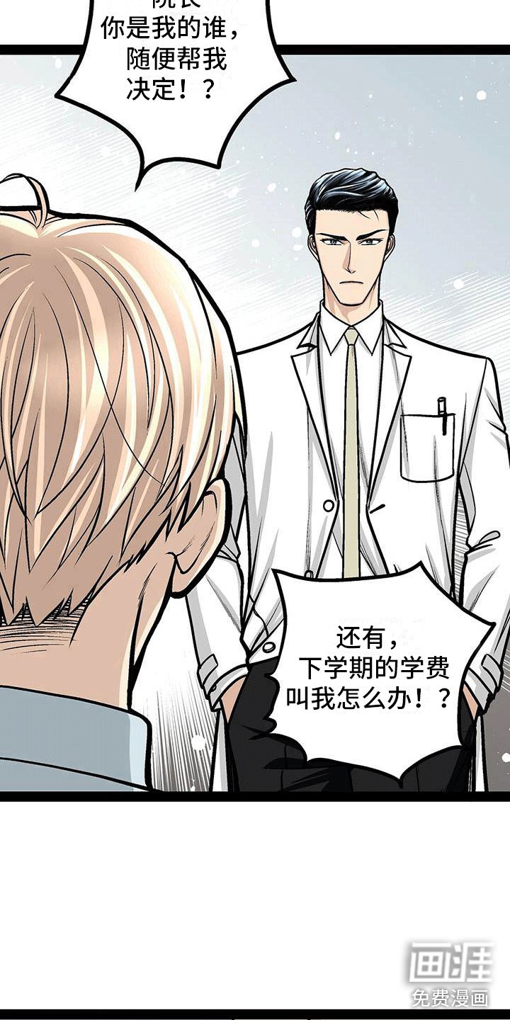 第17章：擅自决定