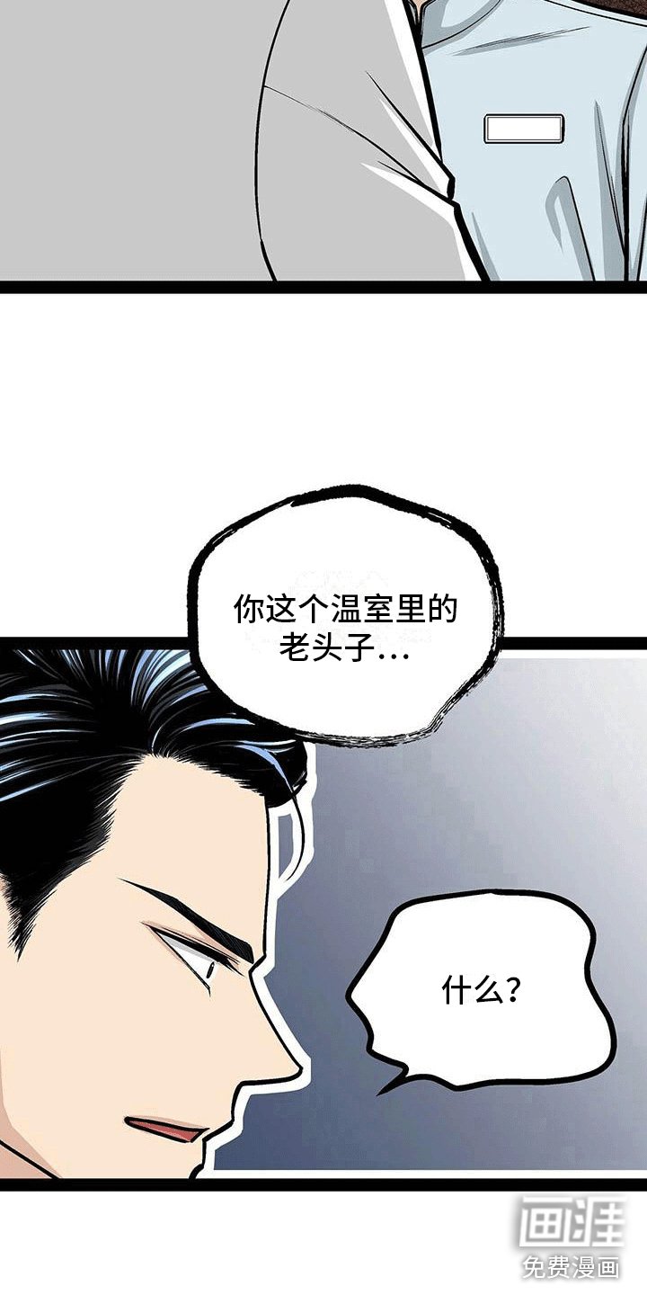 第17章：擅自决定