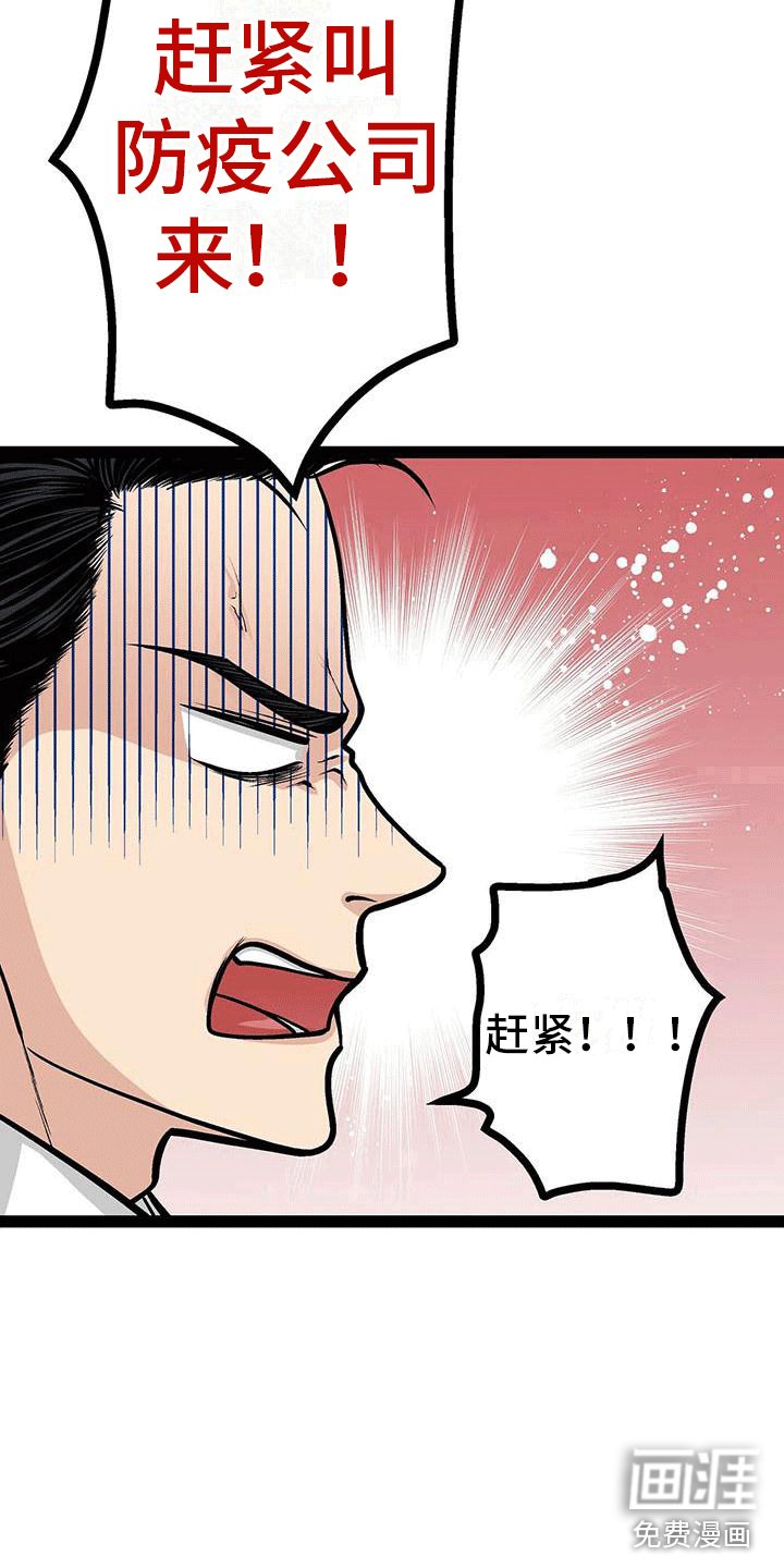 第19章：害怕虫子