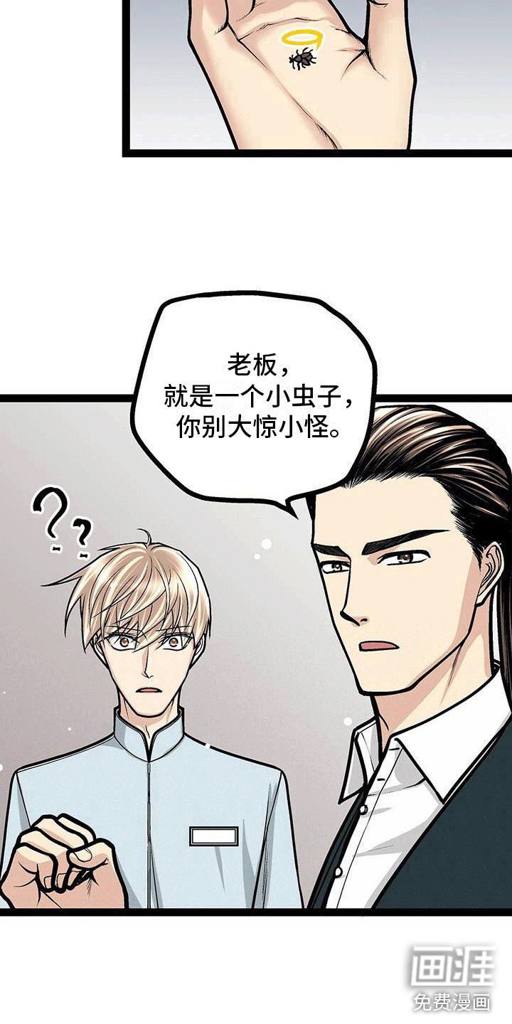 第19章：害怕虫子