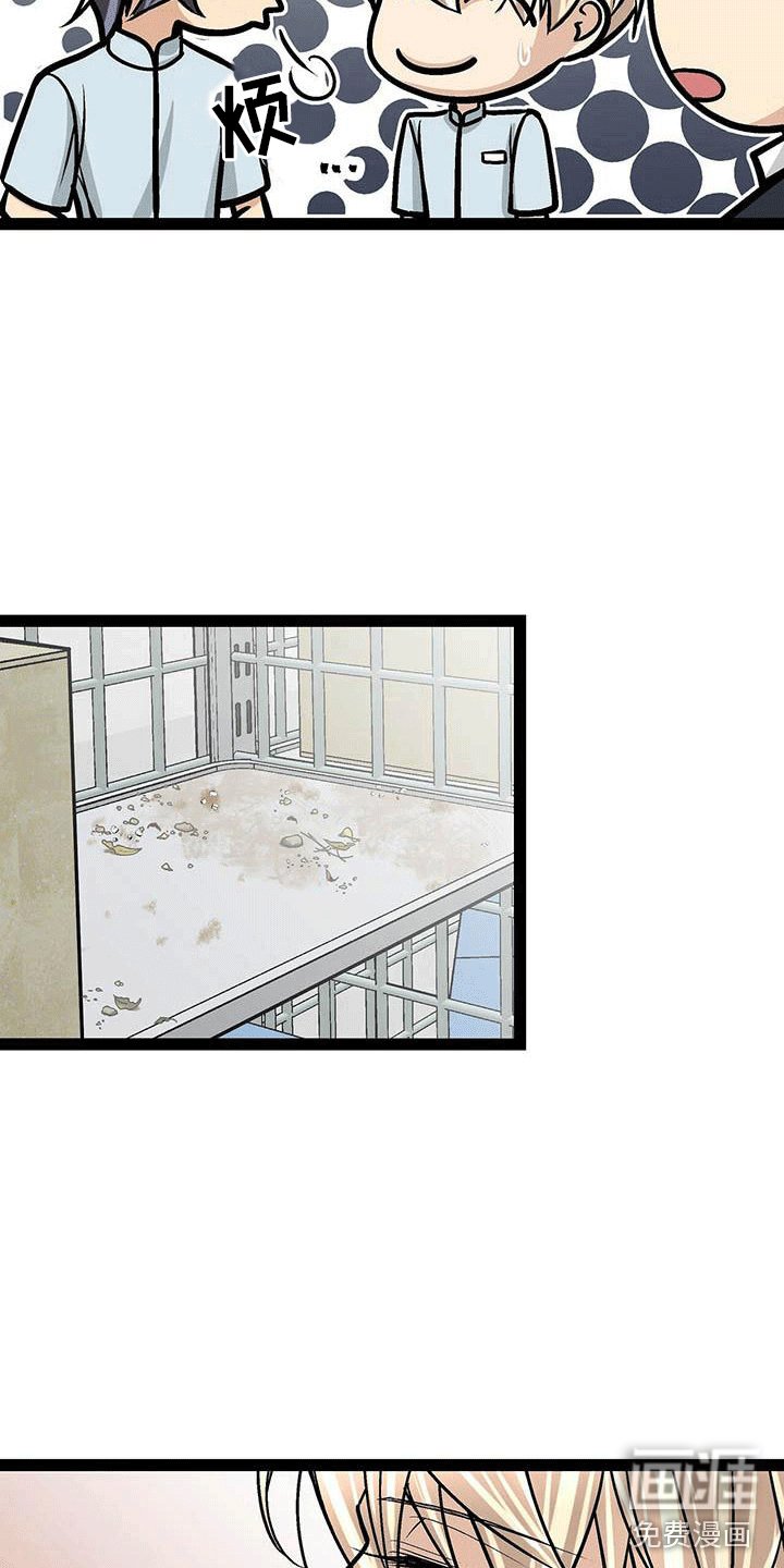 第19章：害怕虫子