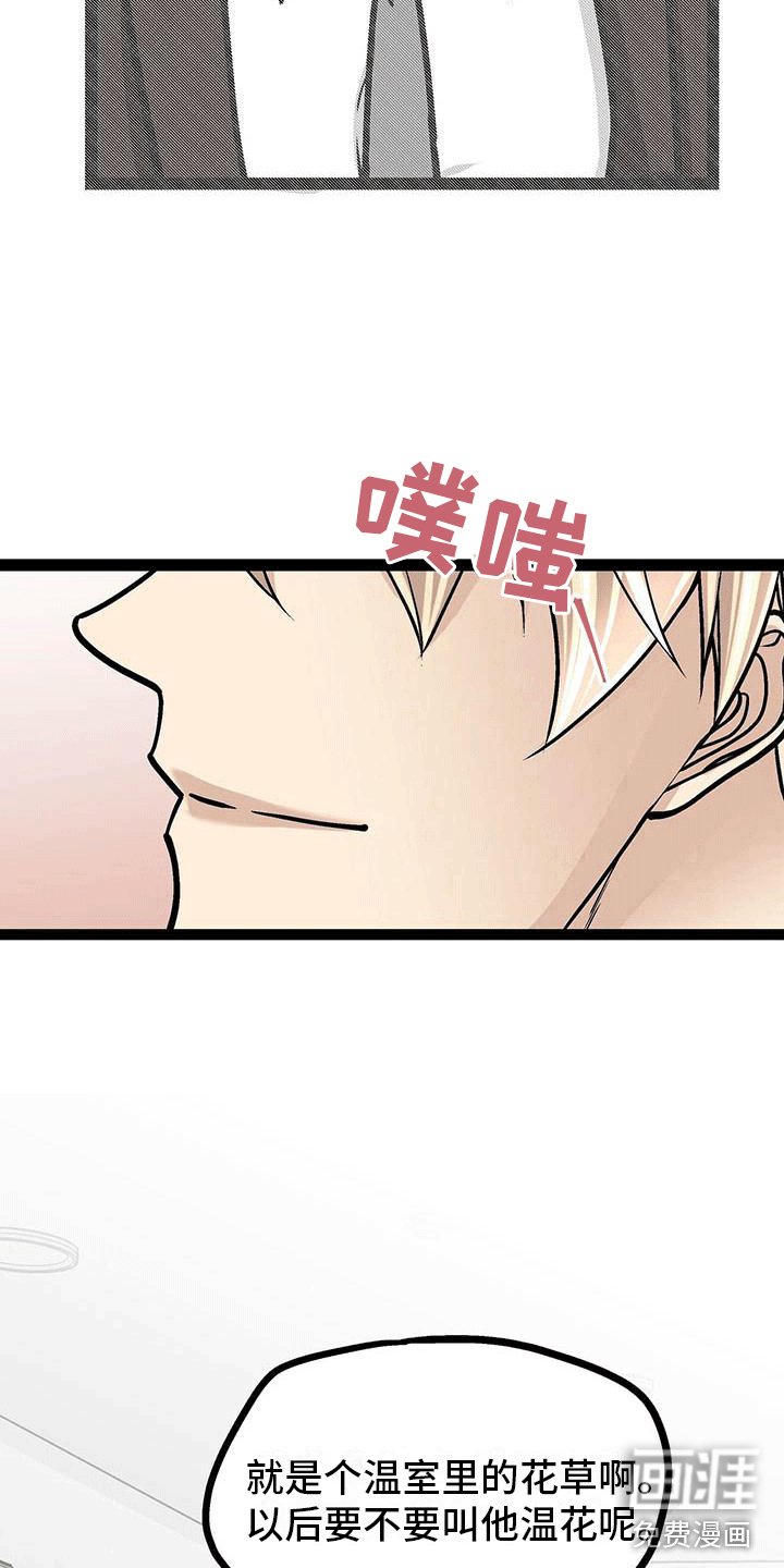 第19章：害怕虫子