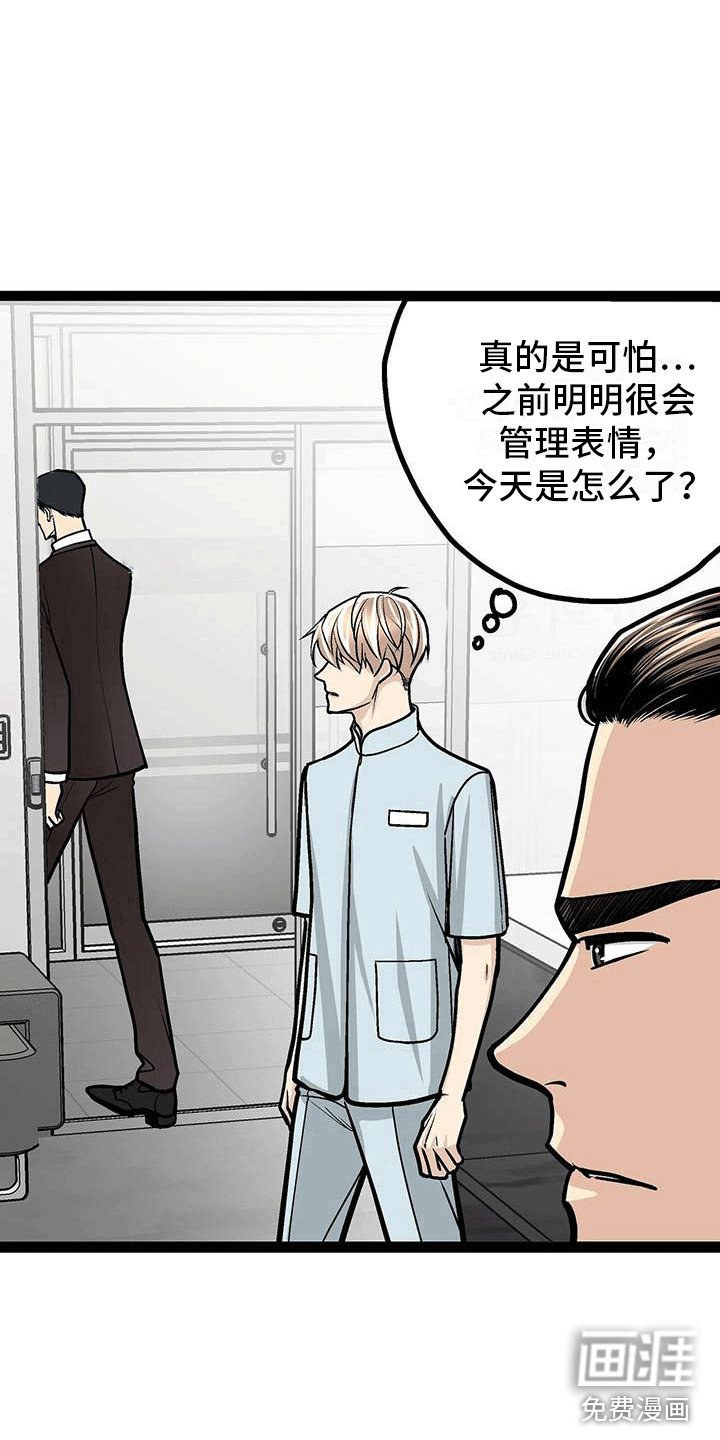 第19章：害怕虫子