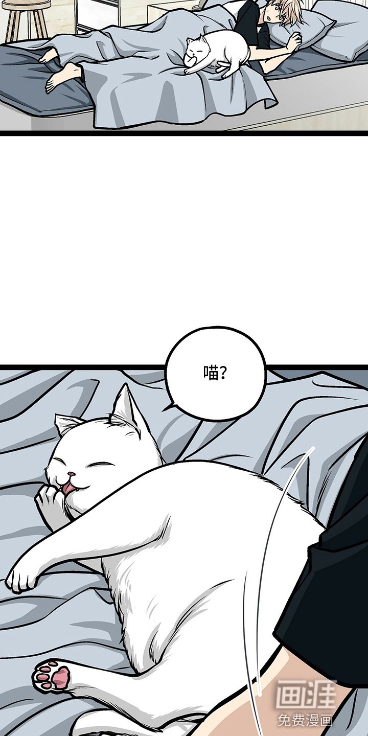 第23章：好帅