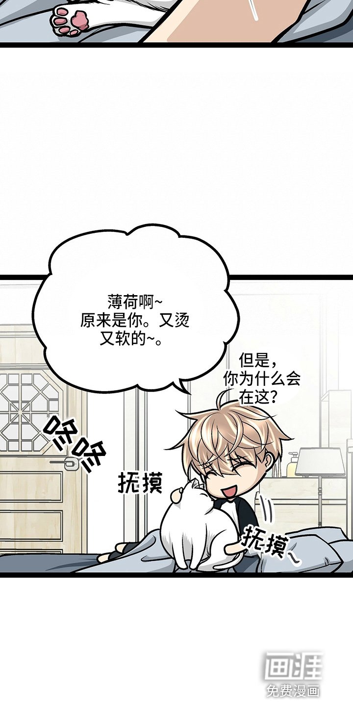 第23章：好帅