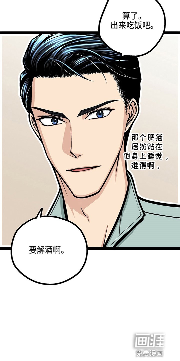 第23章：好帅