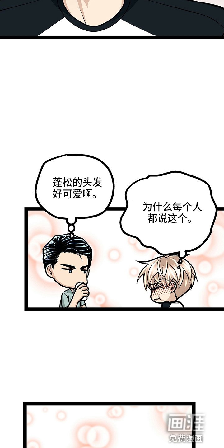 第23章：好帅