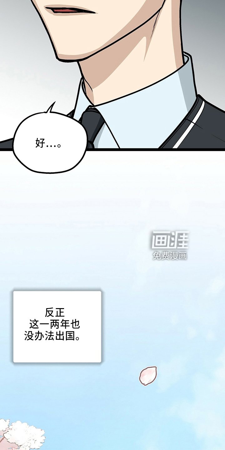 第29章：一个亿