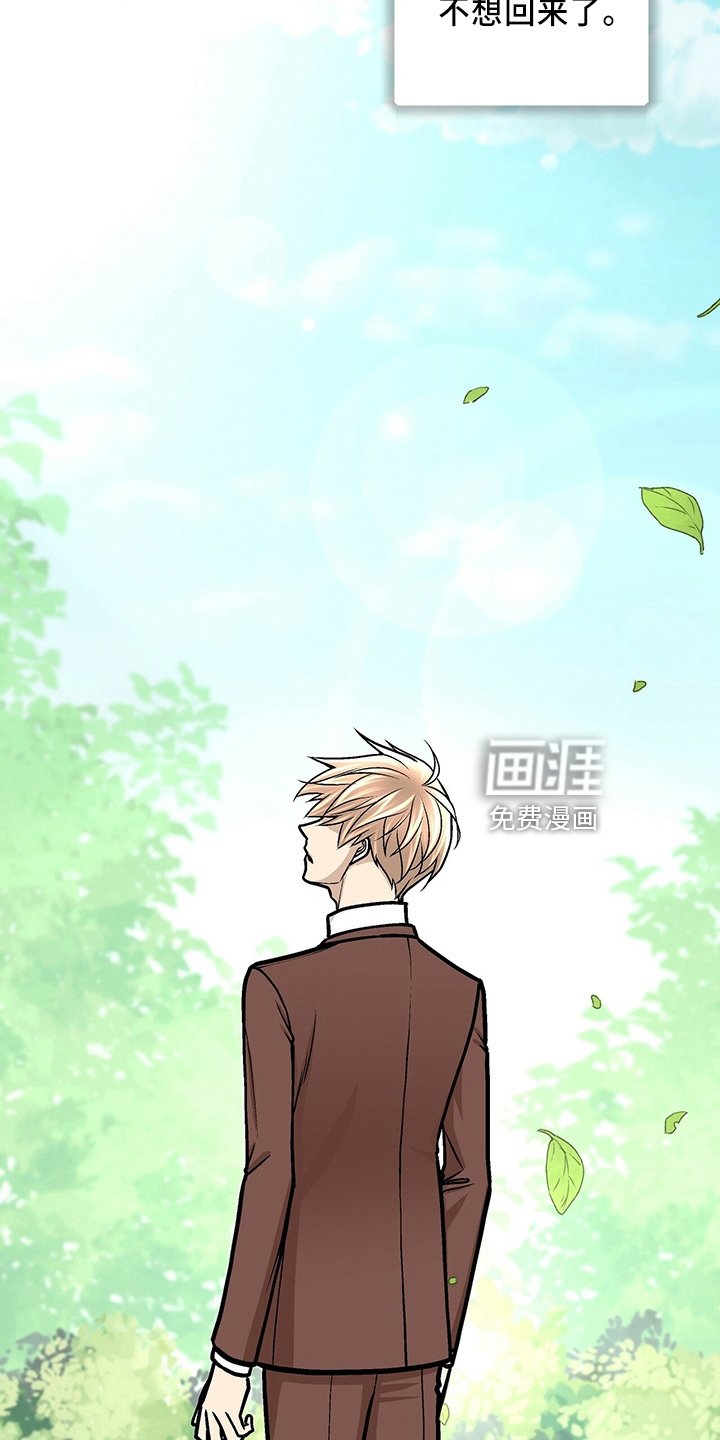 第29章：一个亿