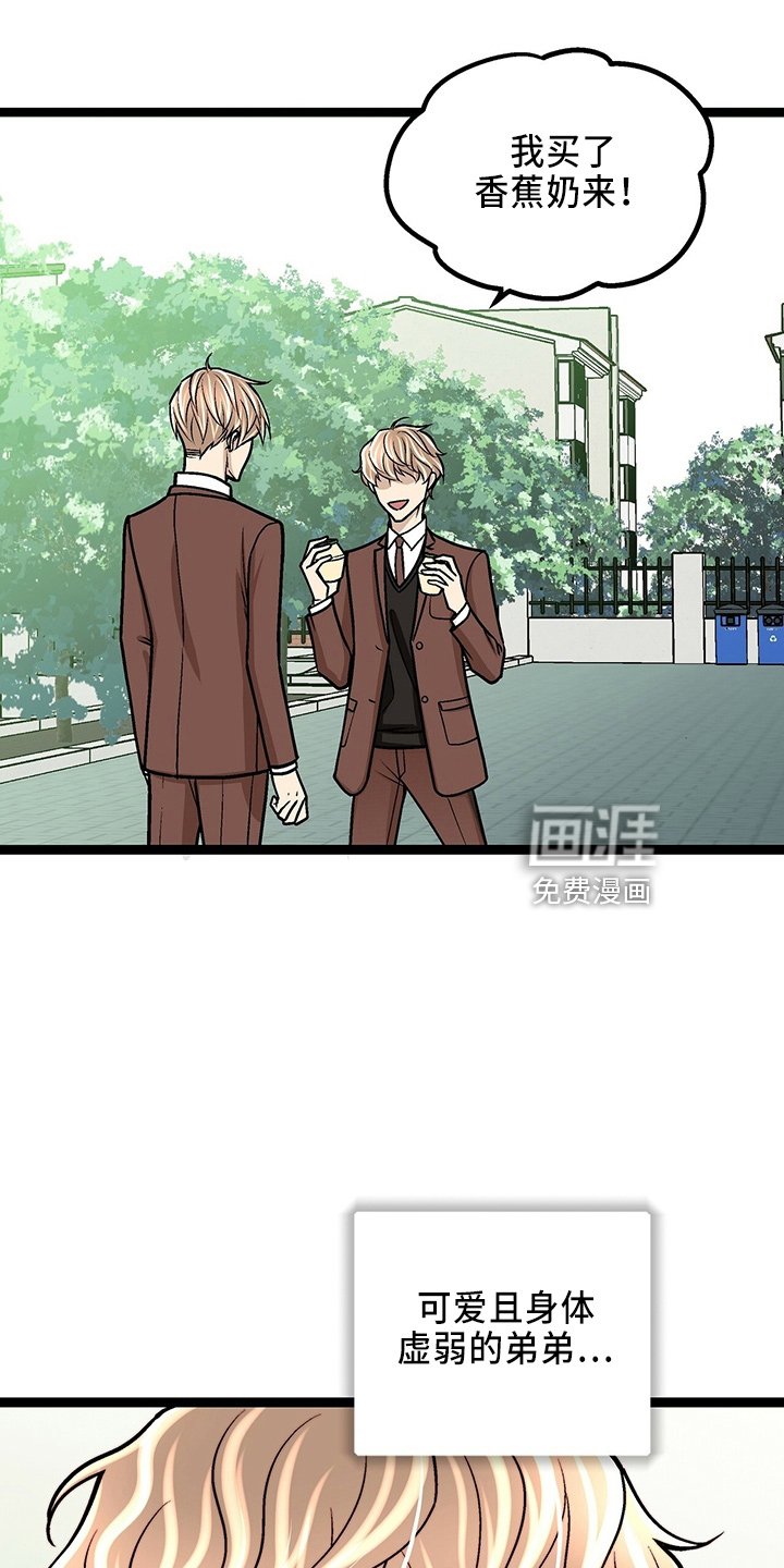 第29章：一个亿