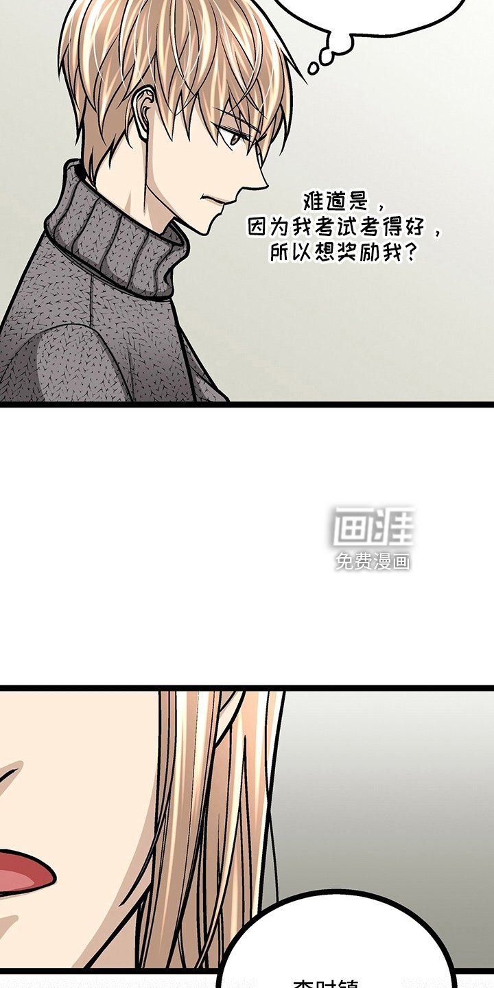 第29章：一个亿
