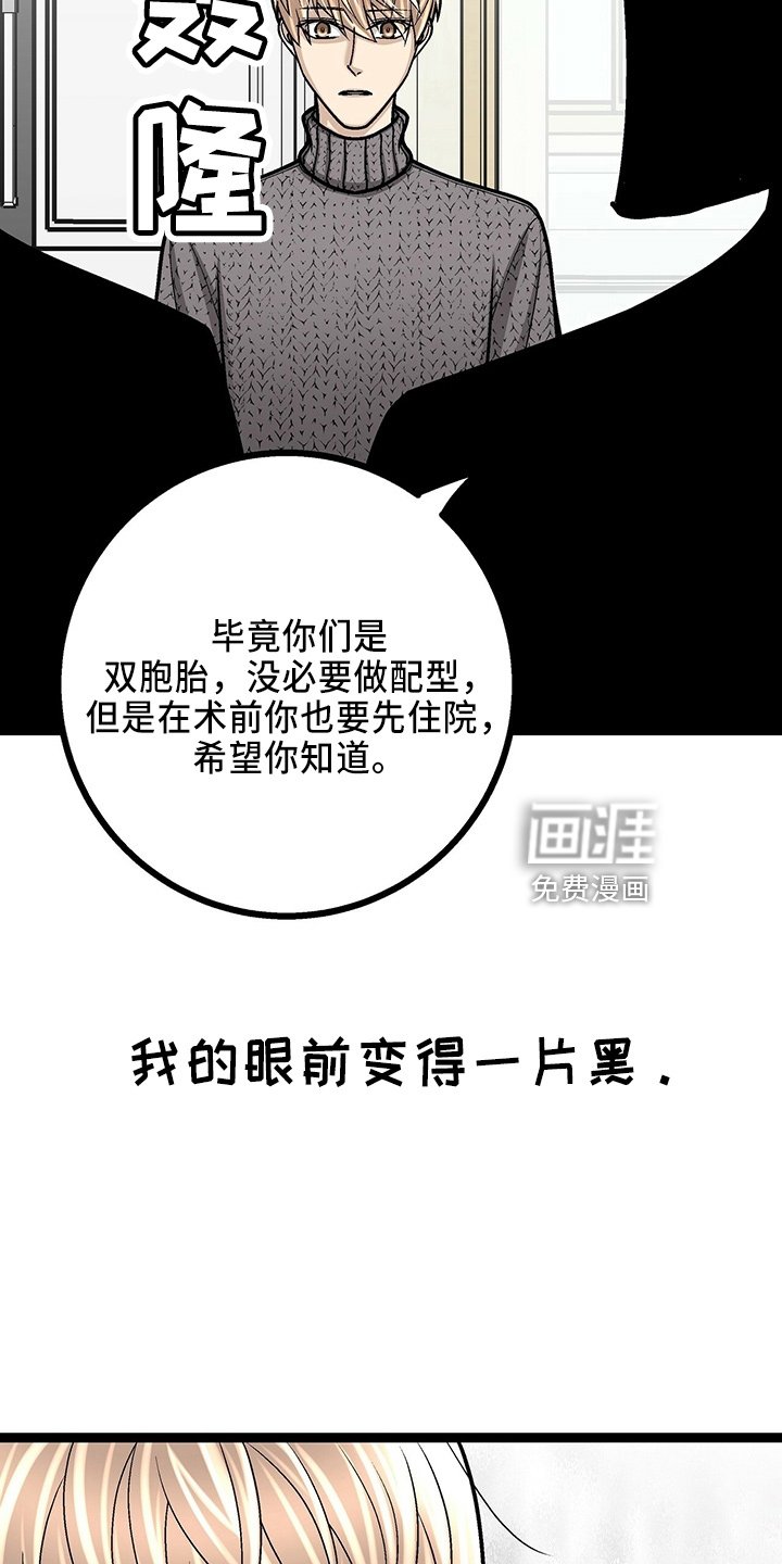 第29章：一个亿