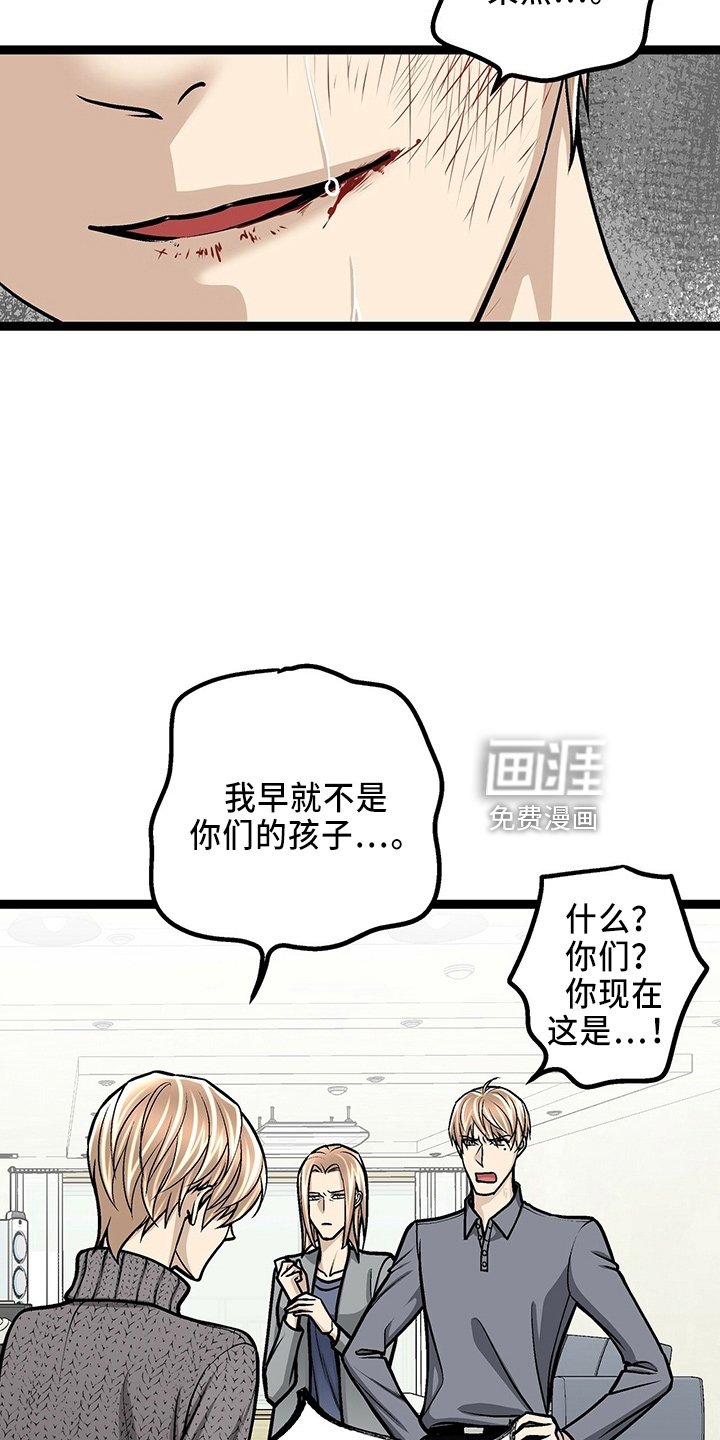 第29章：一个亿