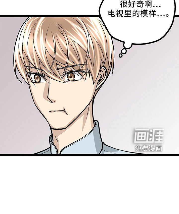 第33章：找茬