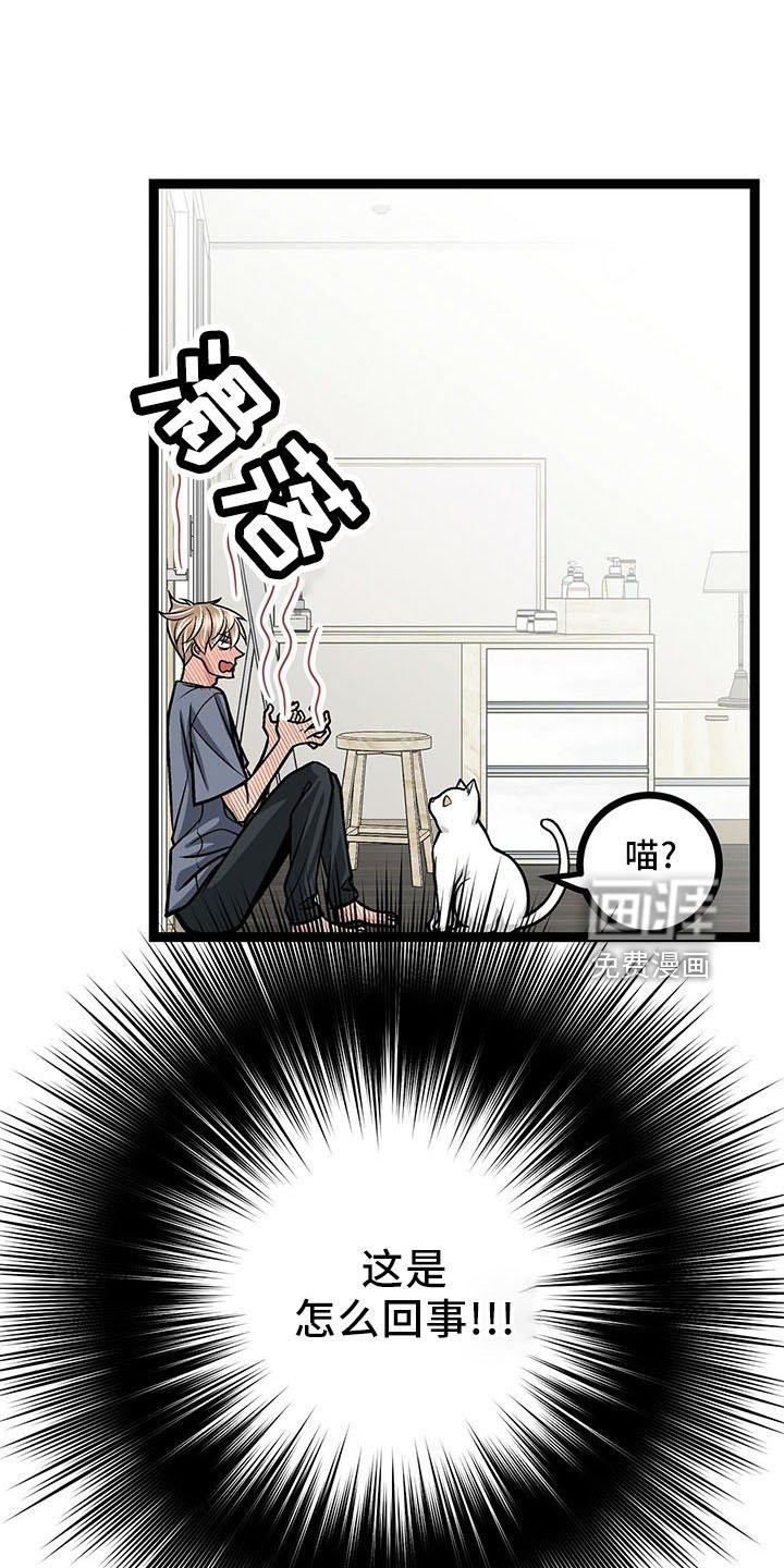 第39章：怎么面对