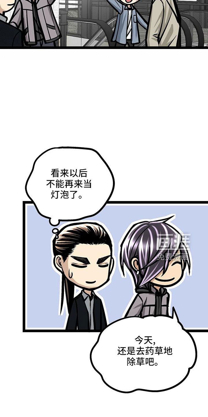 第48章：电灯泡