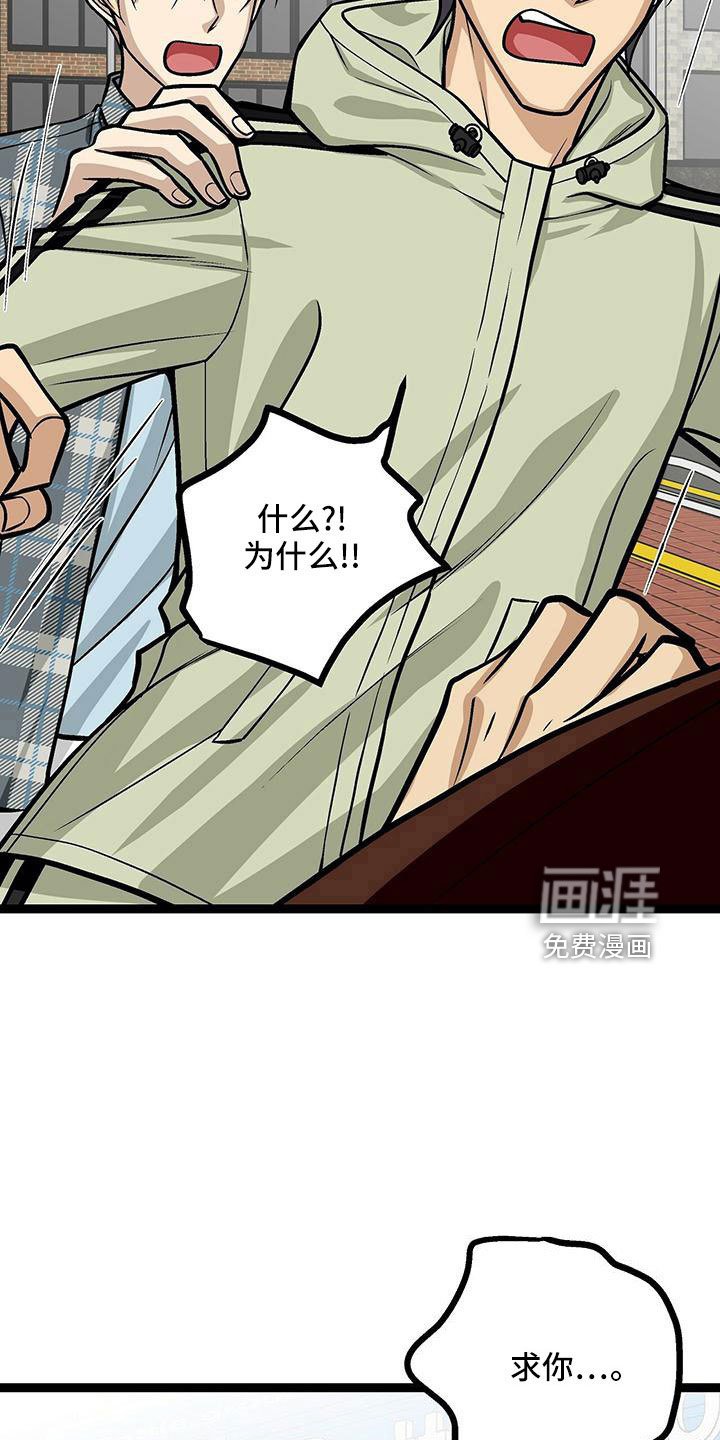 第52章：你别管