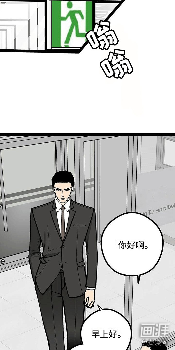 第6章：韩医师？
