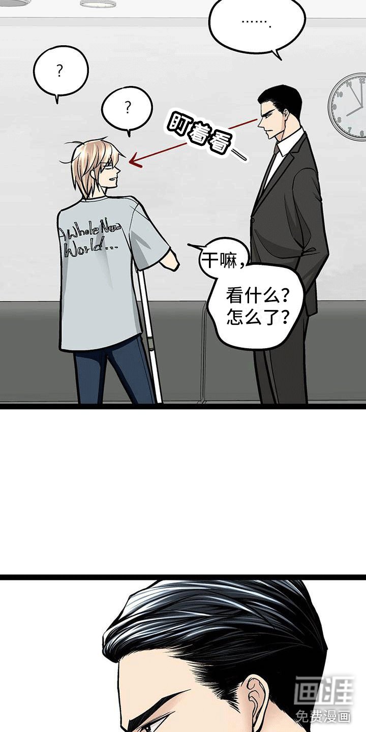 第6章：韩医师？