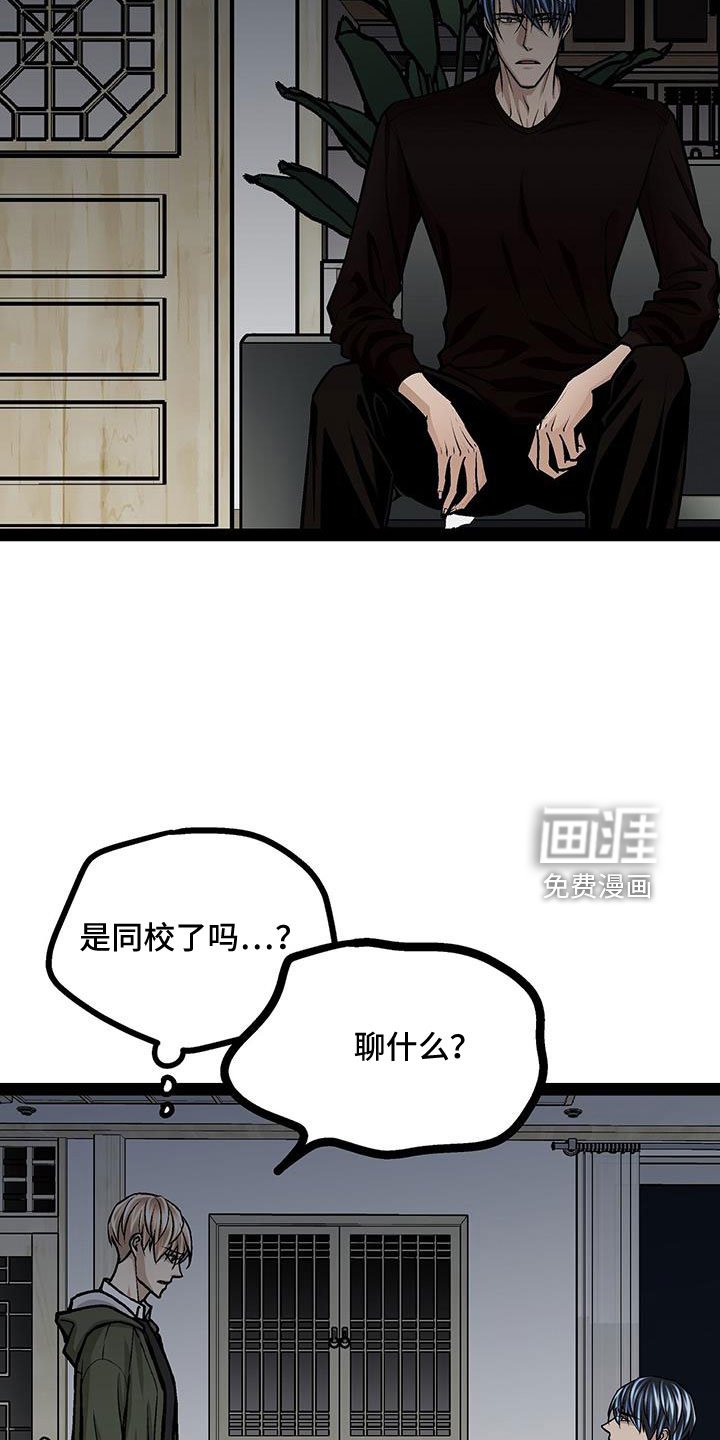 第73章：这是犯规