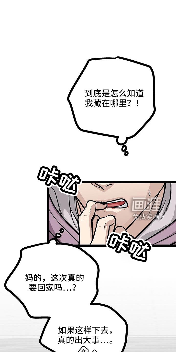 第74章：带我哥来