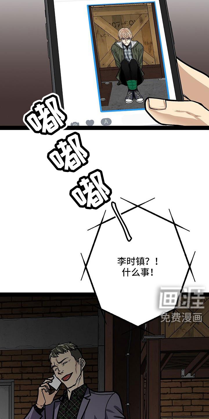 第81章：一个亿