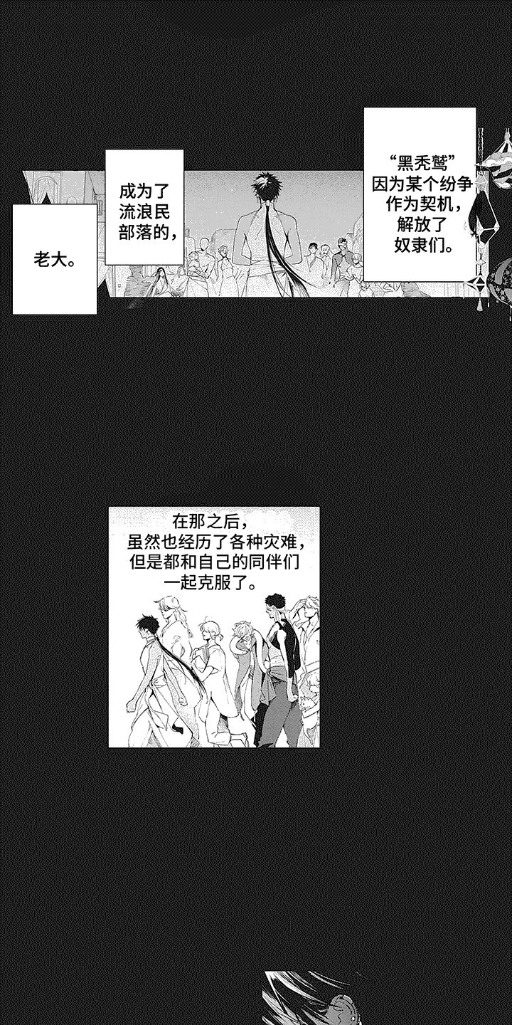 第1章：黑秃鹫