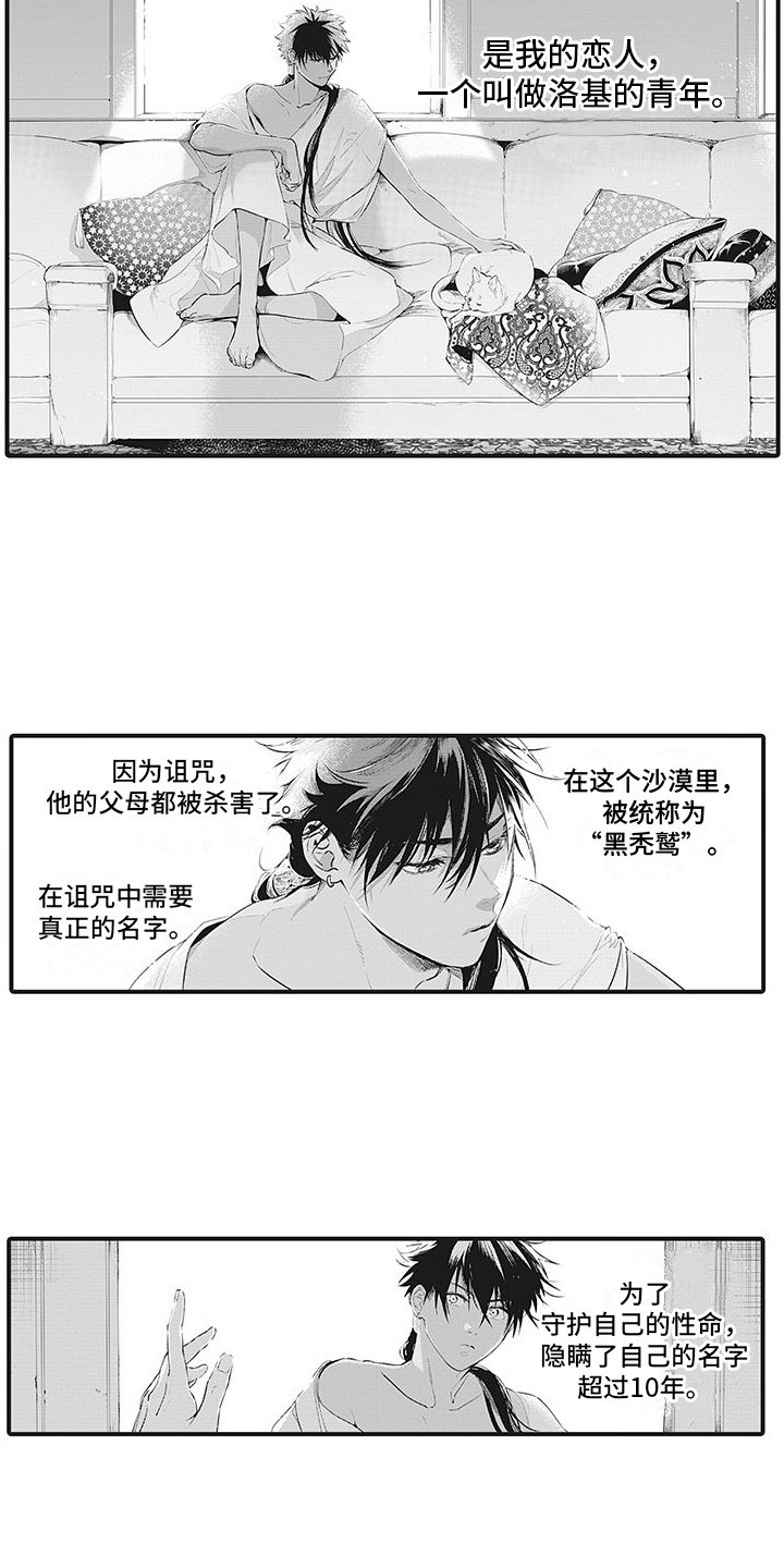 第1章：黑秃鹫