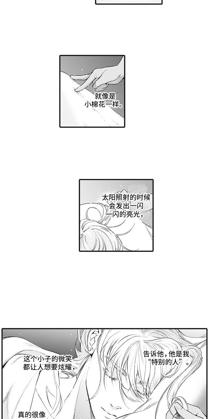 第1章：黑秃鹫