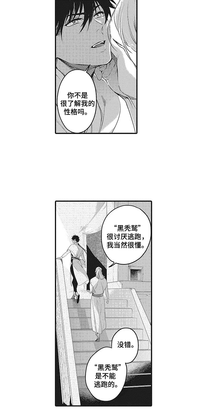 第3章： 贸易市场