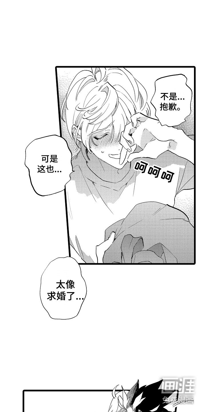 第13章：表白