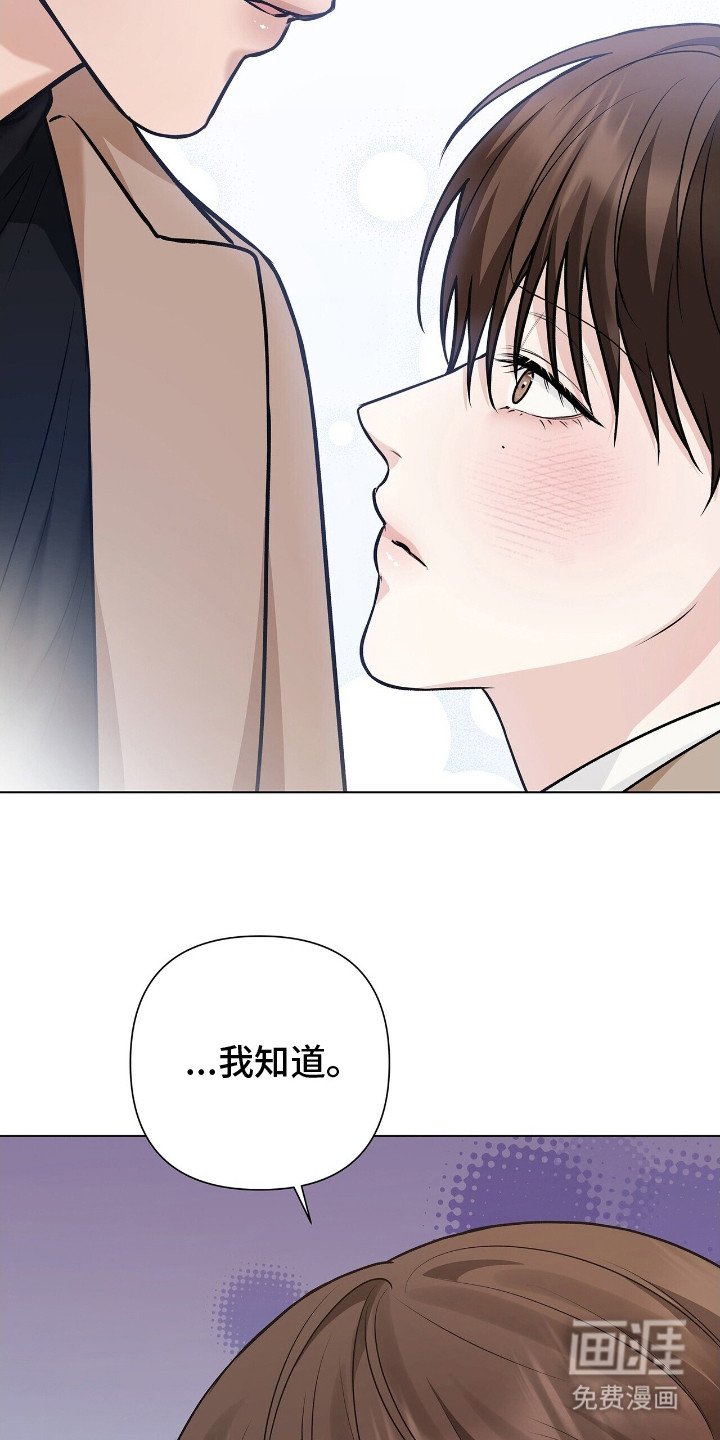 第14章：安慰