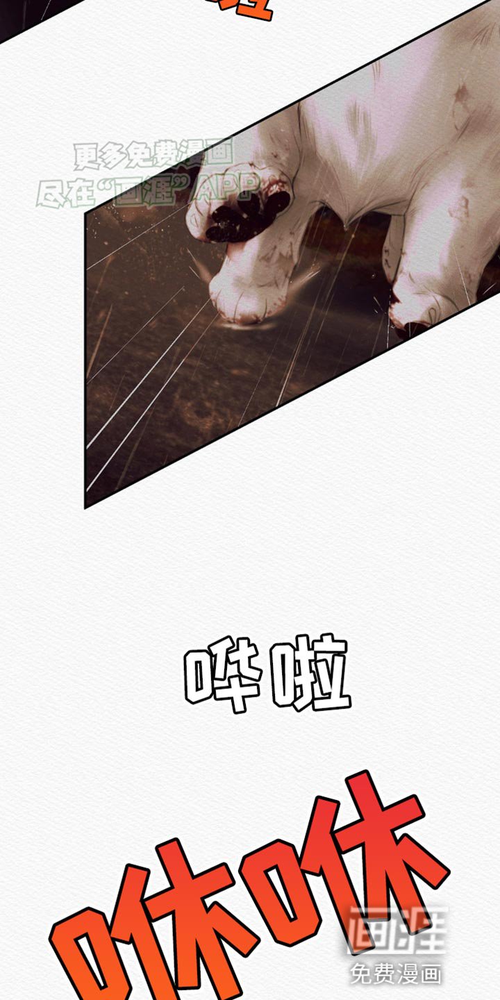 第101章：【第二季】怪你是世子