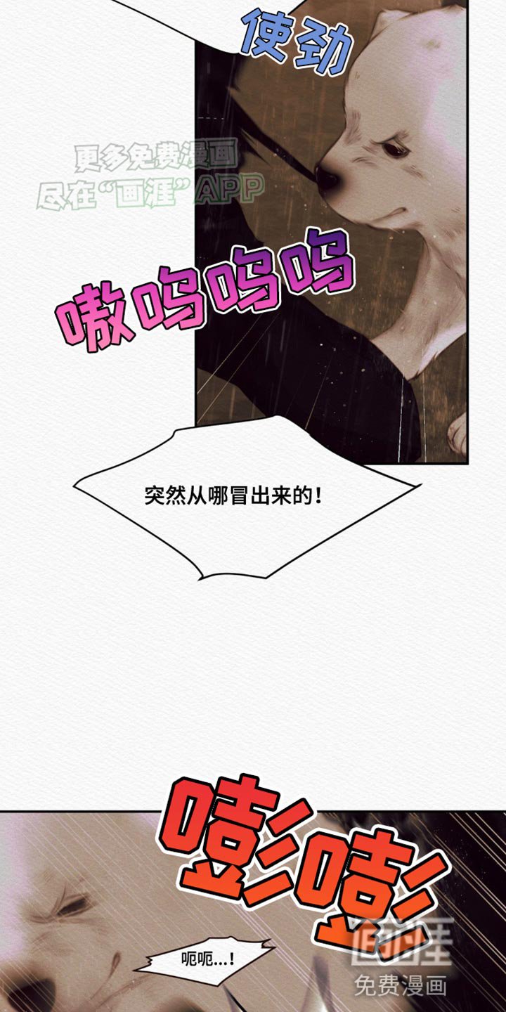 第101章：【第二季】怪你是世子