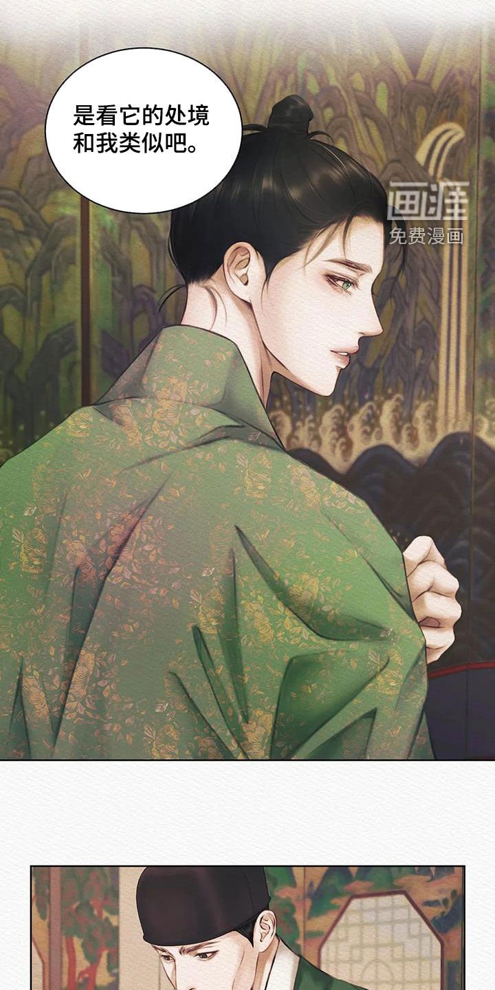 第11章：不是梦