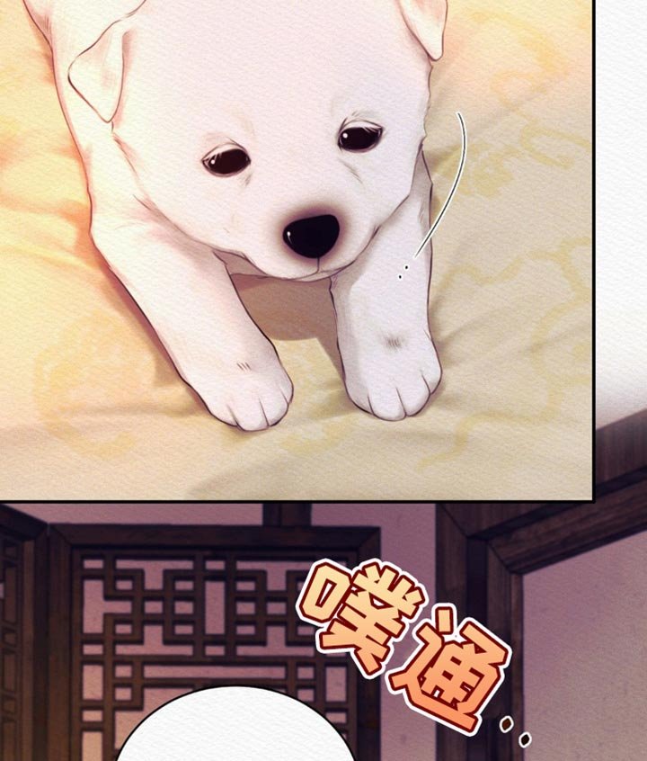 第114章：【第二季】我都喜欢