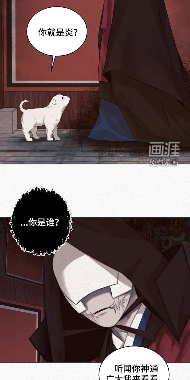 第13章：巫师