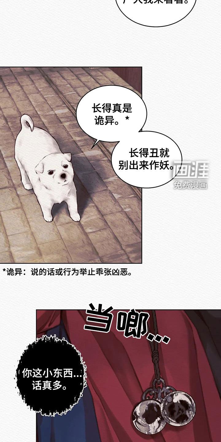 第13章：巫师