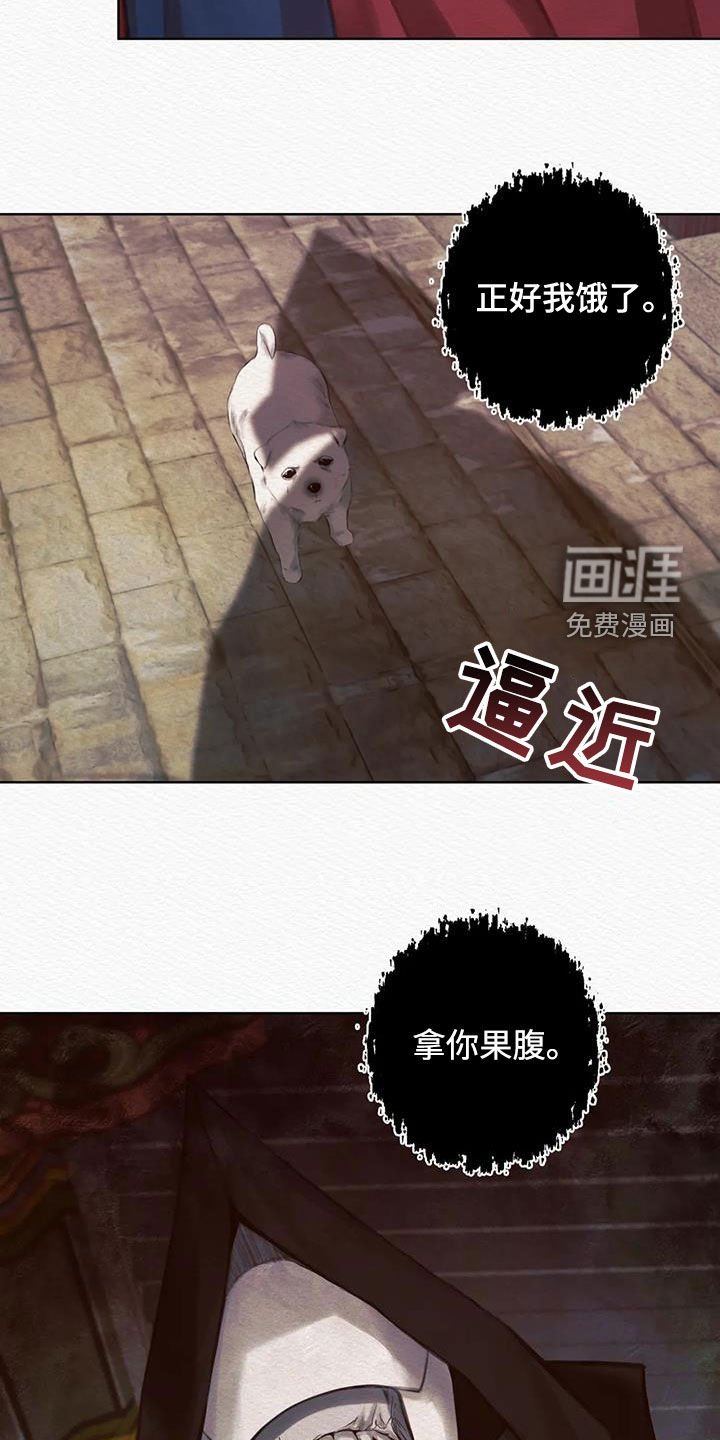 第13章：巫师