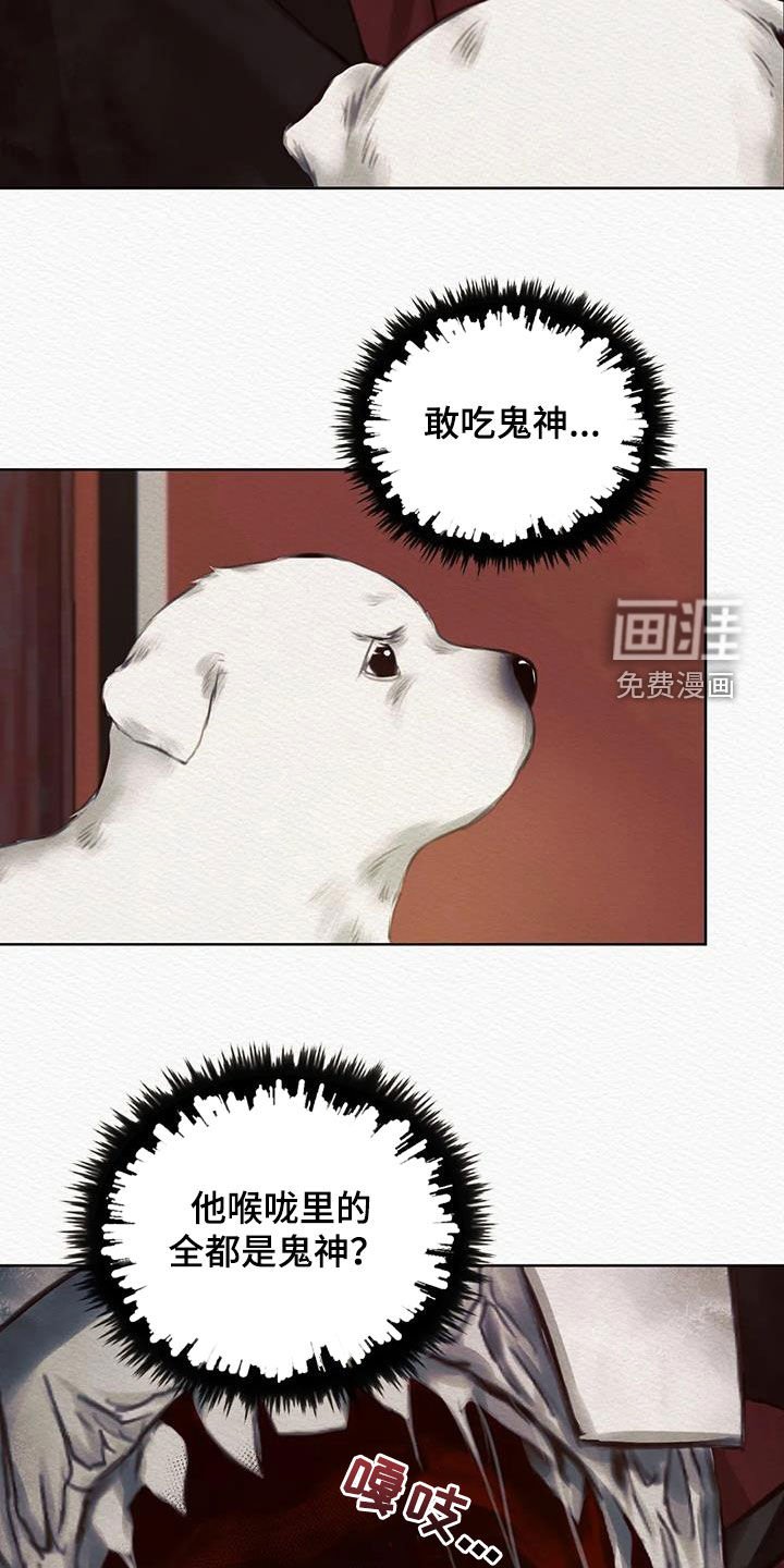 第13章：巫师