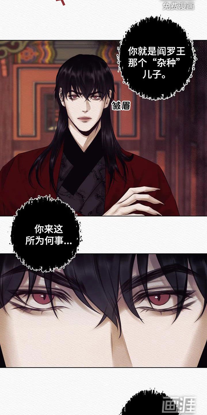 第13章：巫师