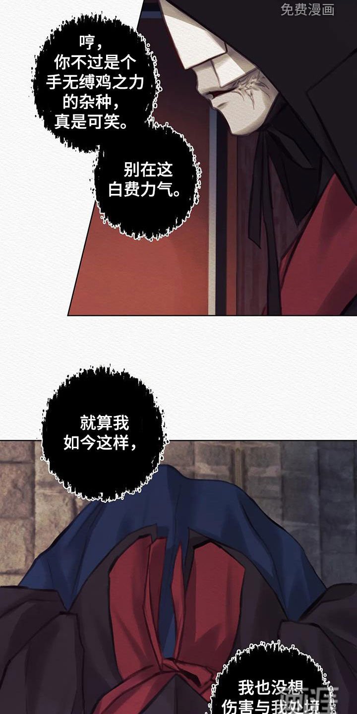 第13章：巫师