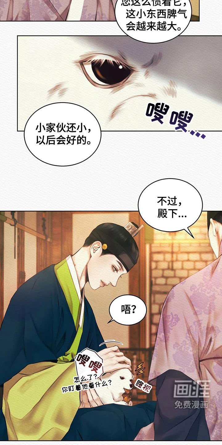 第15章：爱慕之情