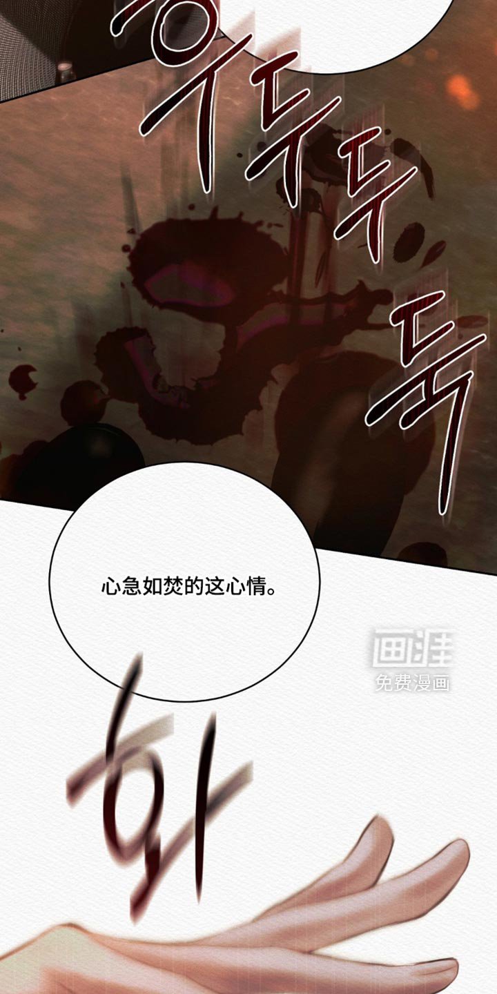 第163章：【第二季】我还能遇见你（完结）