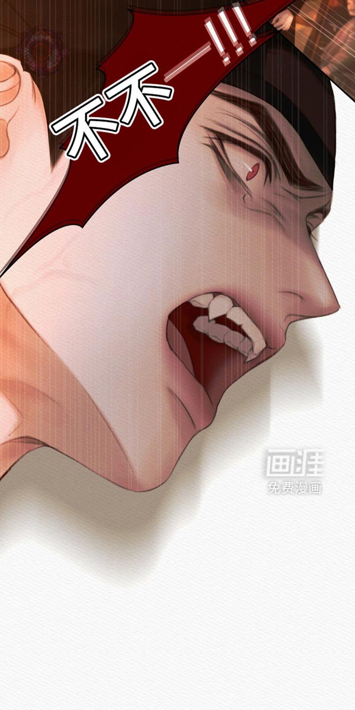 第163章：【第二季】我还能遇见你（完结）