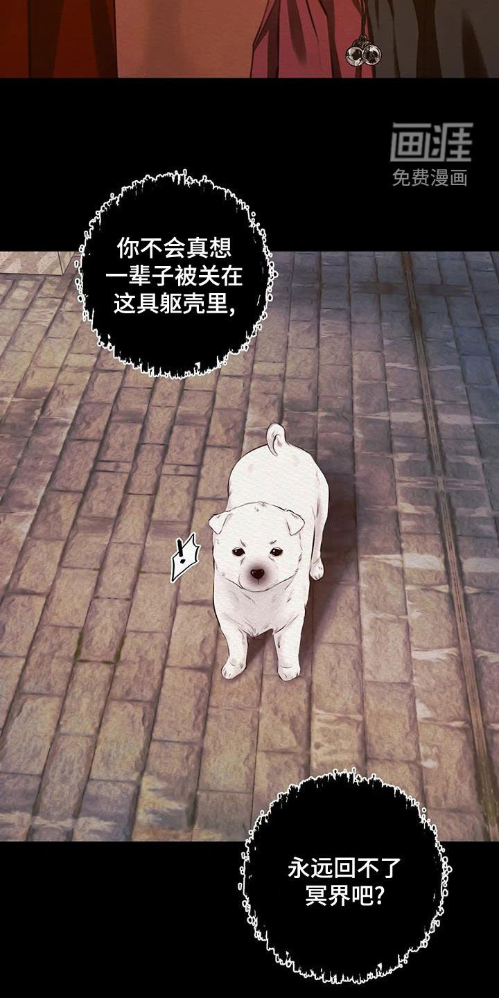 第20章：调查