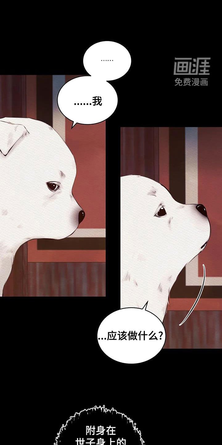 第20章：调查