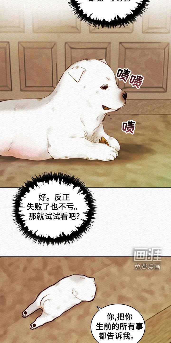 第20章：调查