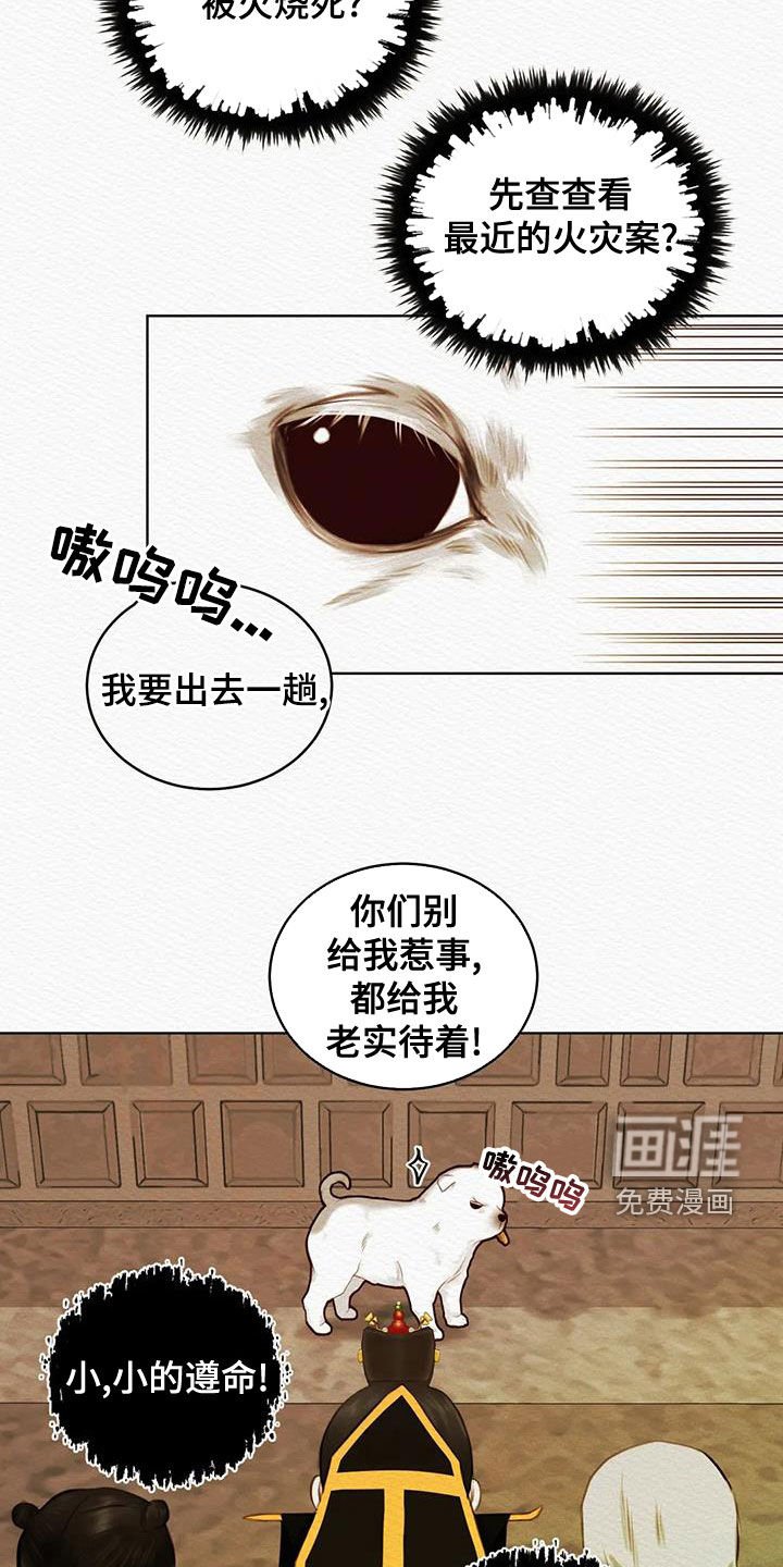 第20章：调查